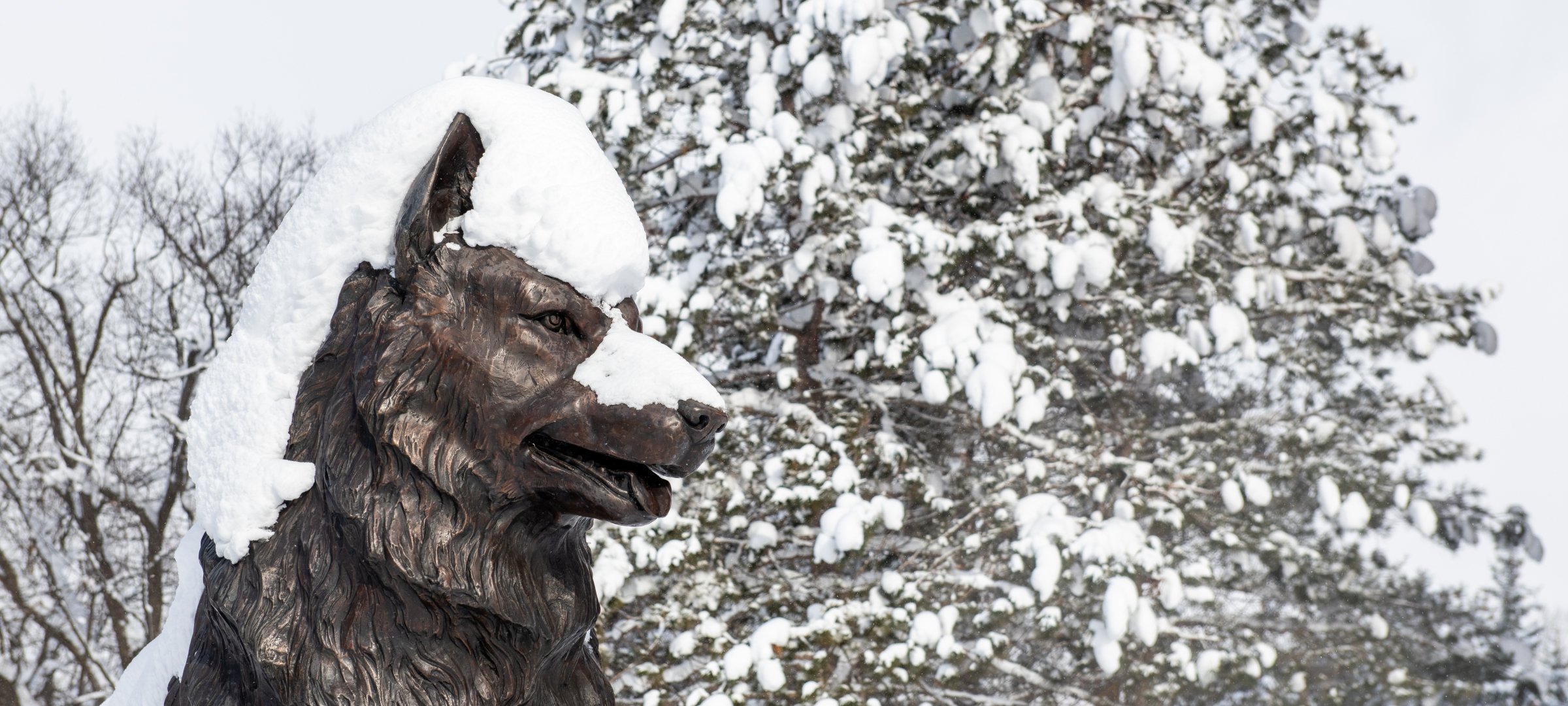 https://www.mtu.edu/alumni/favorites/snowfall/images/snowfall-banner2400.jpg