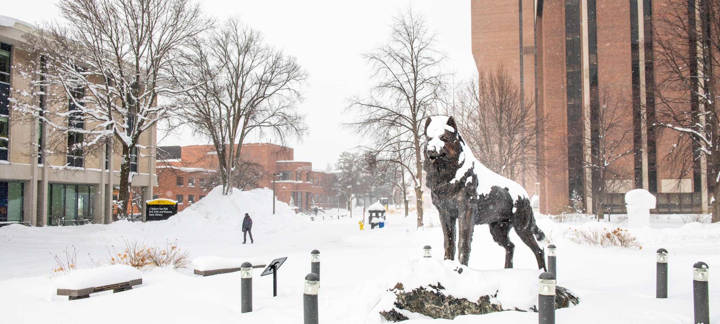 Michigan Tech husky statue in winter