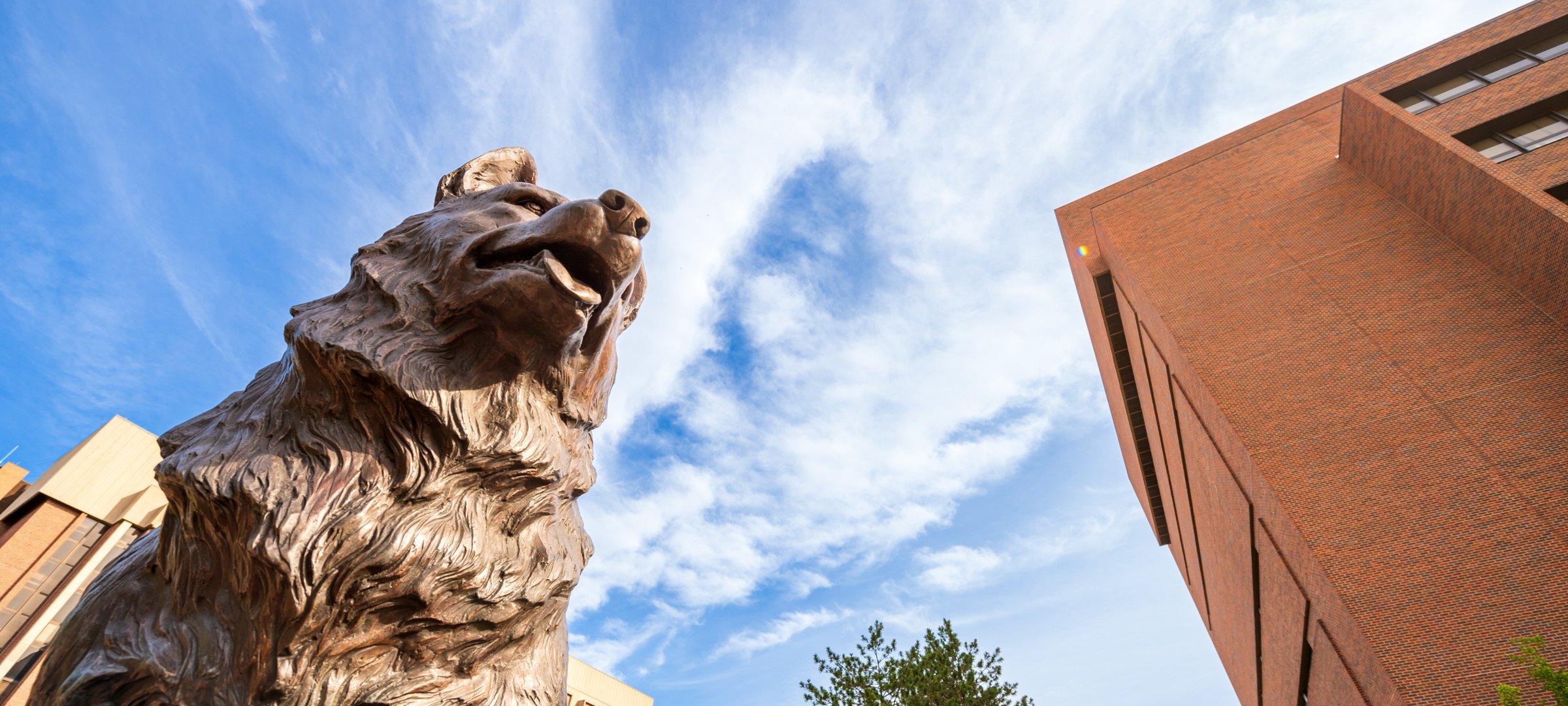 Husky Statue on Michigan Tech's campus.