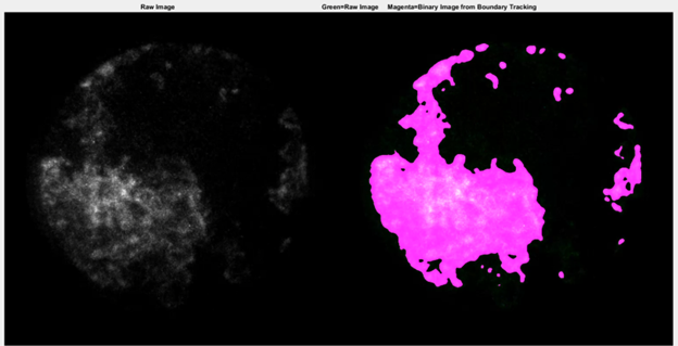 propagating flame captured in the Ford optical engine