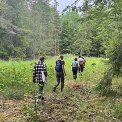 Students sitting in Math Lecture Students in the forest during study abroad in Sweden