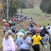 Runners in the Alpine Run