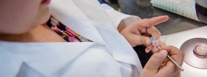 Student doing research in lab