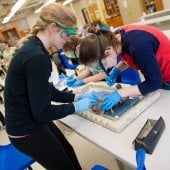 Two high school students work on a lab experiment.