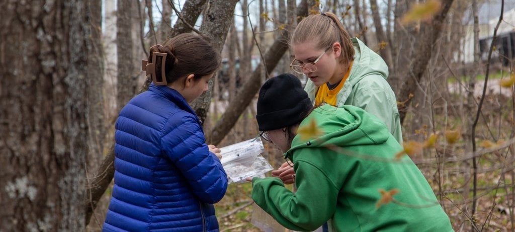 High school students learning about trophic organisms outdoors.