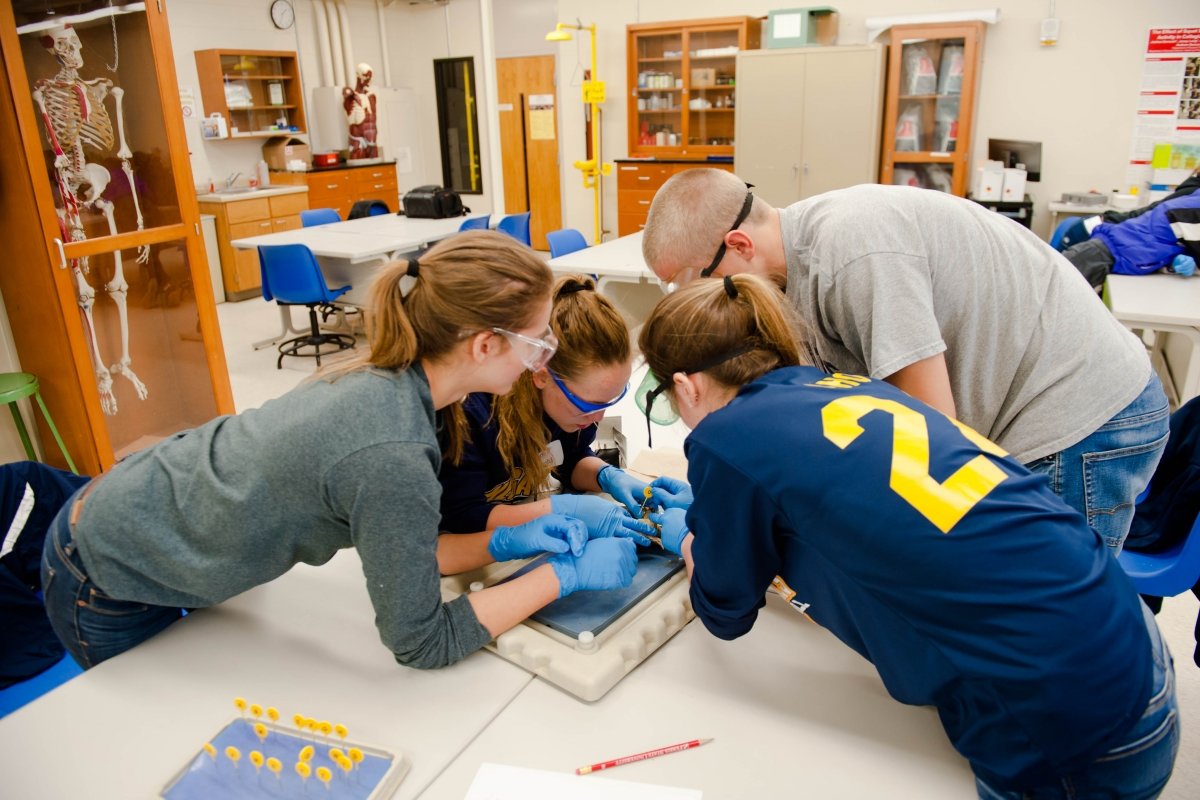 Four high school students work on a dissection.