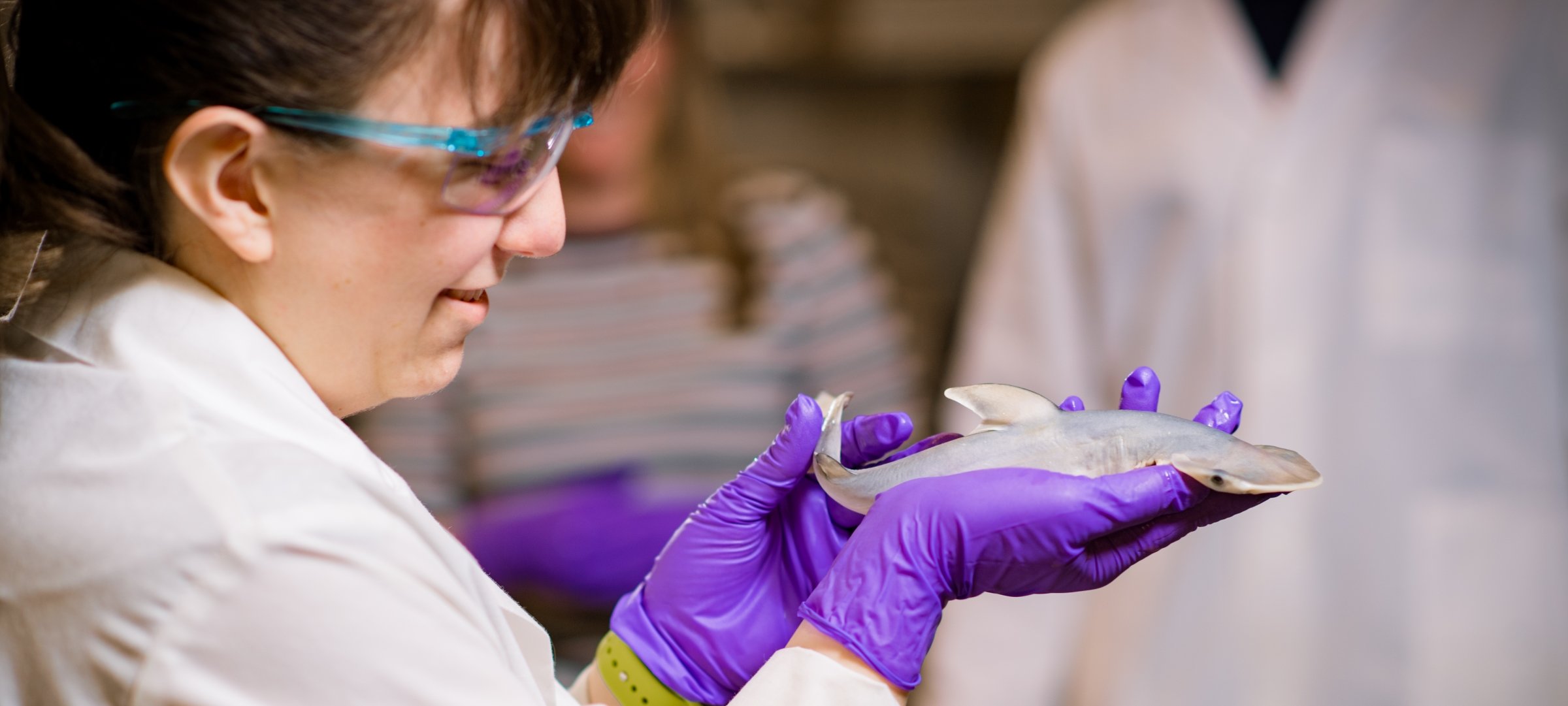 Researcher holds a fish in the palm of their hand