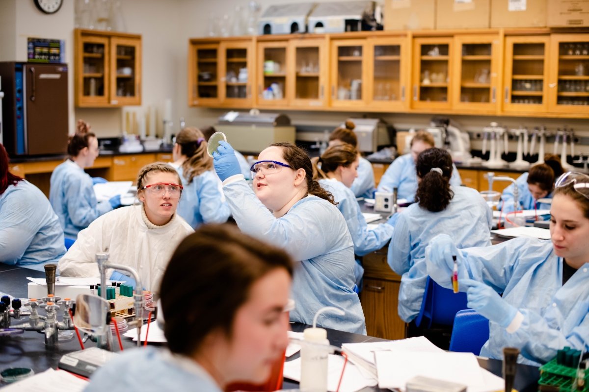 Students in a Biological Sciences Lab