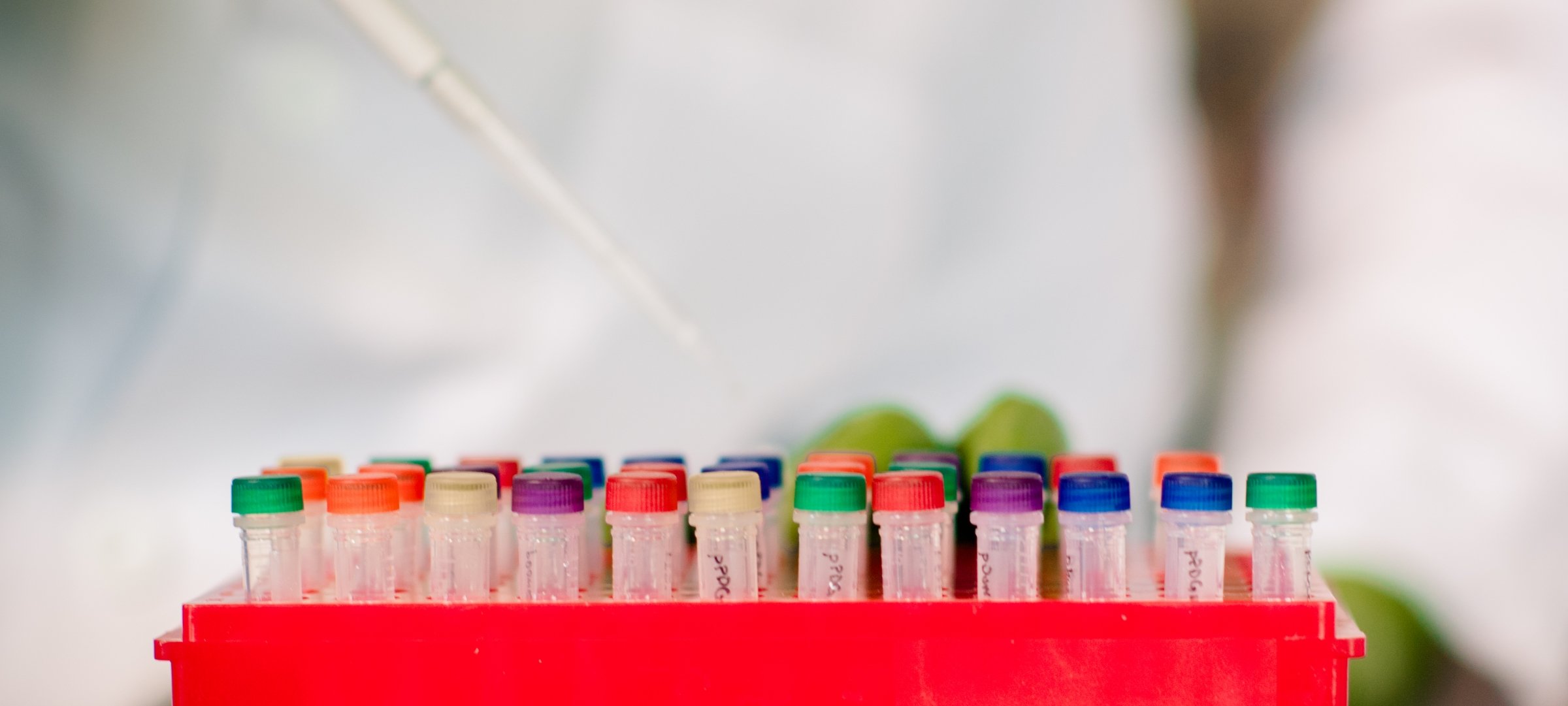 Researcher dispensing liquid into vials