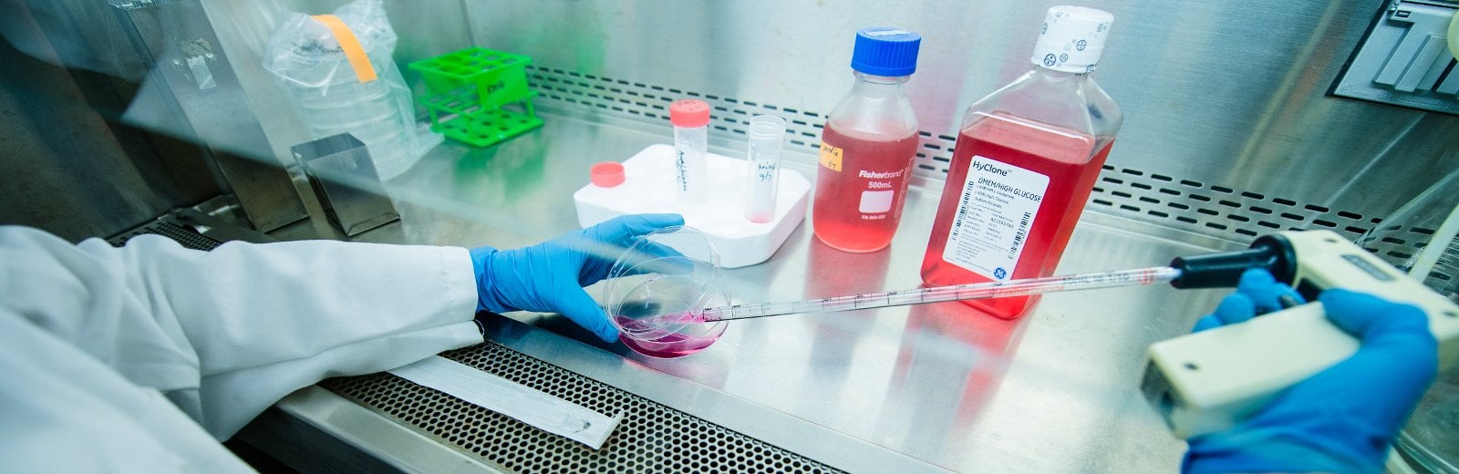 Drawing a sample in a fume hood.