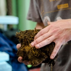 Researcher pointing to a hand full of dirt