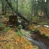 Parshall flume at mouth of boreal forested Wallace Lake watershed, Isle Royale National Park, Michigan.