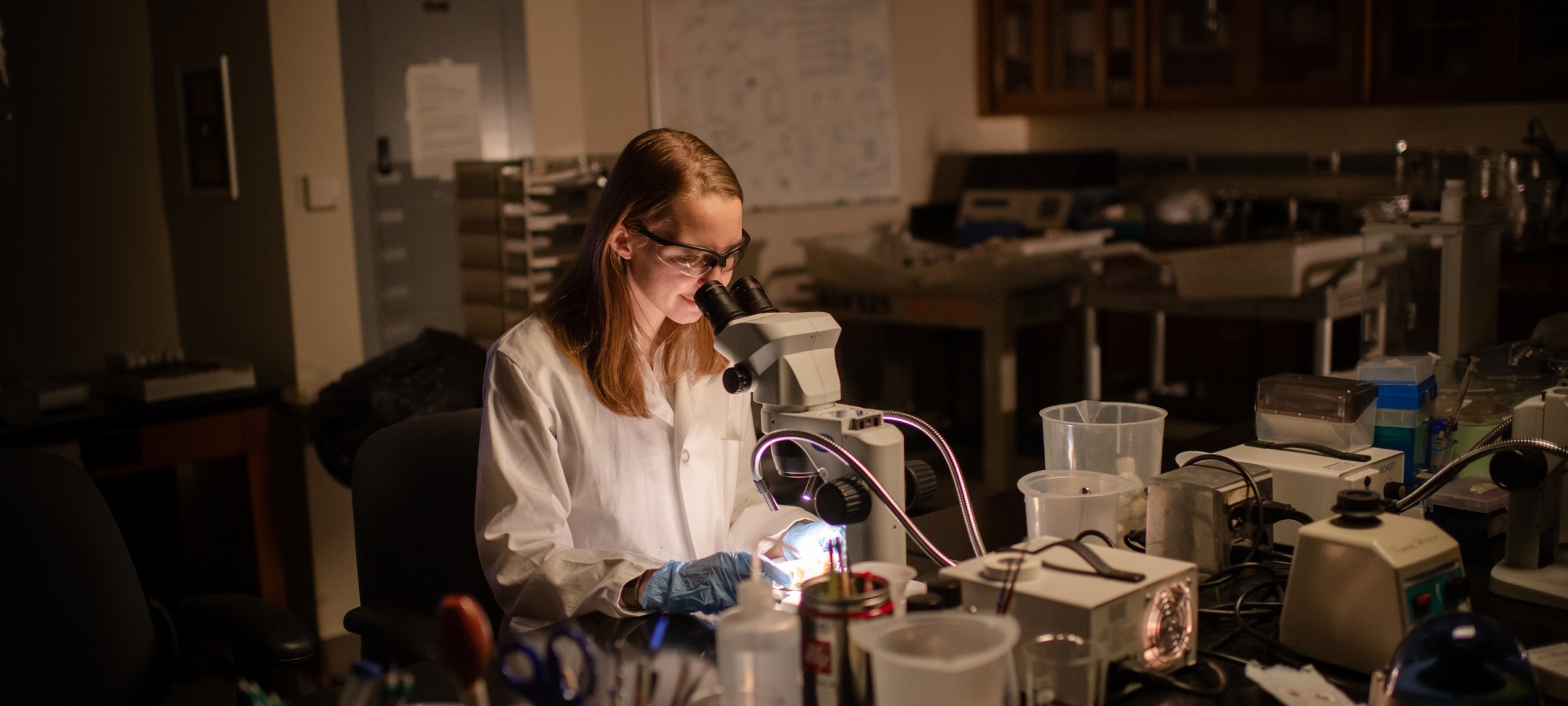 Tessa Steenwinkel looks through a microscope