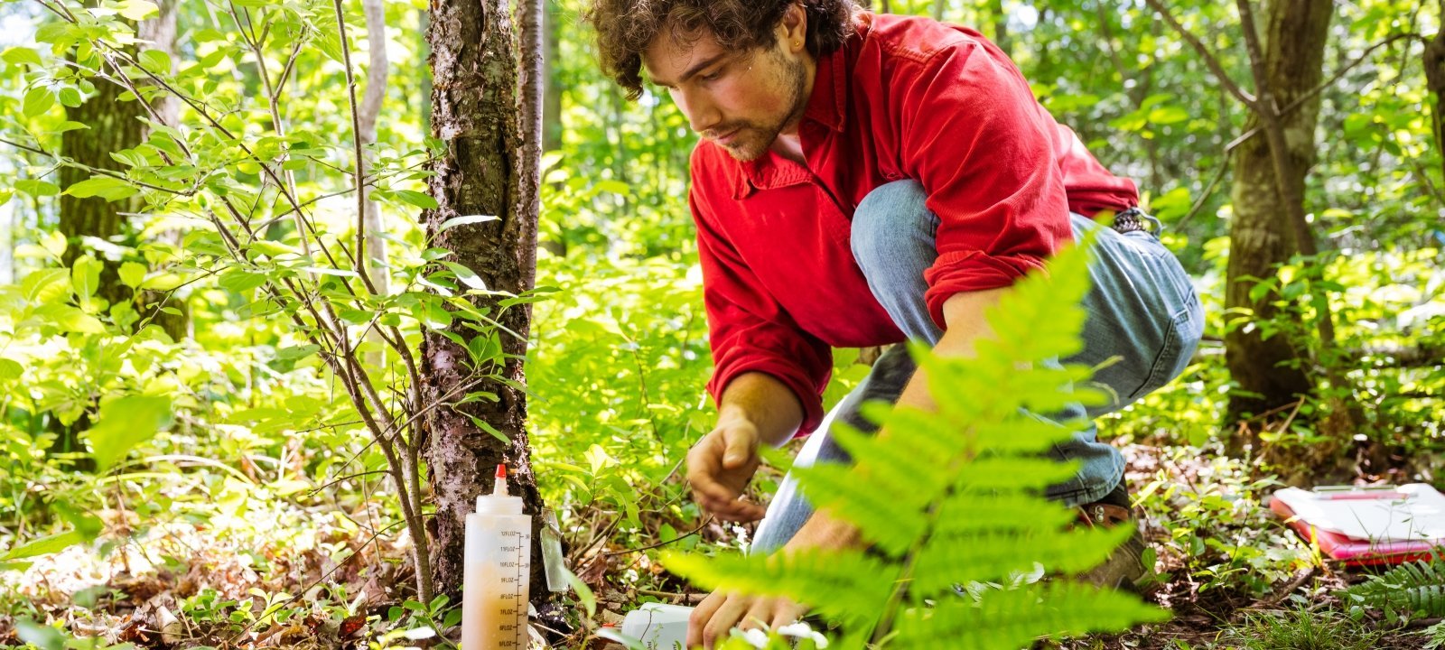Student conducting invasive species field research in a forest.