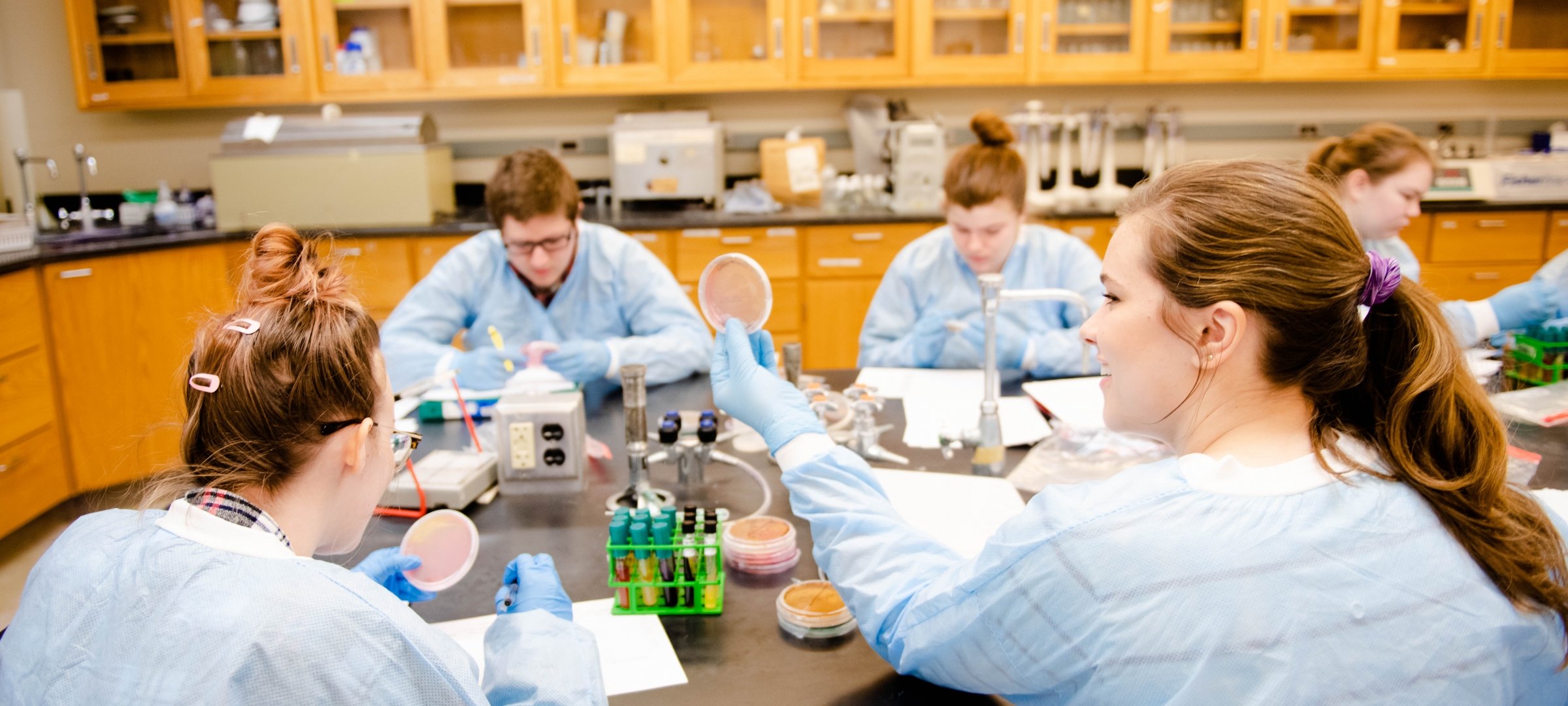 Students examining petri dishes in a lab