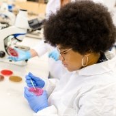 Student streaking a microbiology plate.