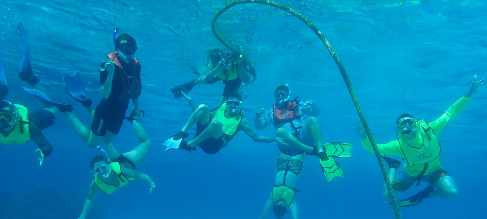Students snorkeling in the Bahamas during study abroad.
