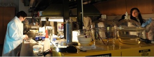 Students conducting research in a lab