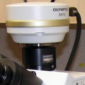Olympus DP70 Camera