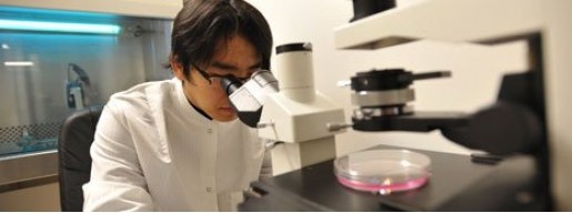 Tissue Engineering and Biomaterials