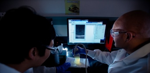 Biomedical Optics and Ultrasound