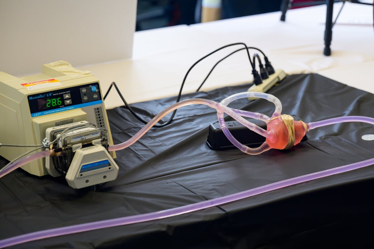 An artificial plastic heart is used to test an adhered device.