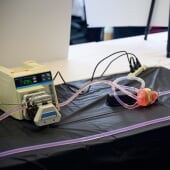 An artificial plastic heart is used to test an adhered device.
