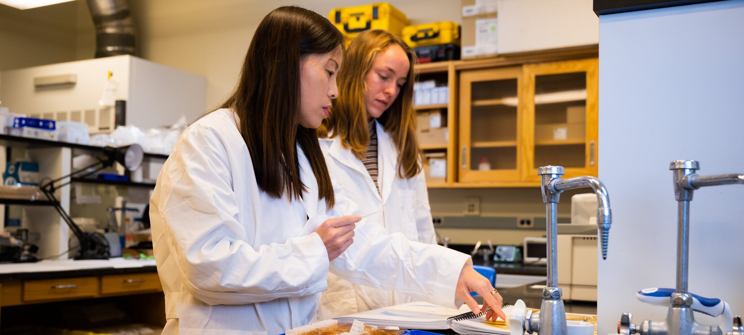 Two people working together in a lab.