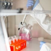 Minor in Tissue and Stem Cell Engineering