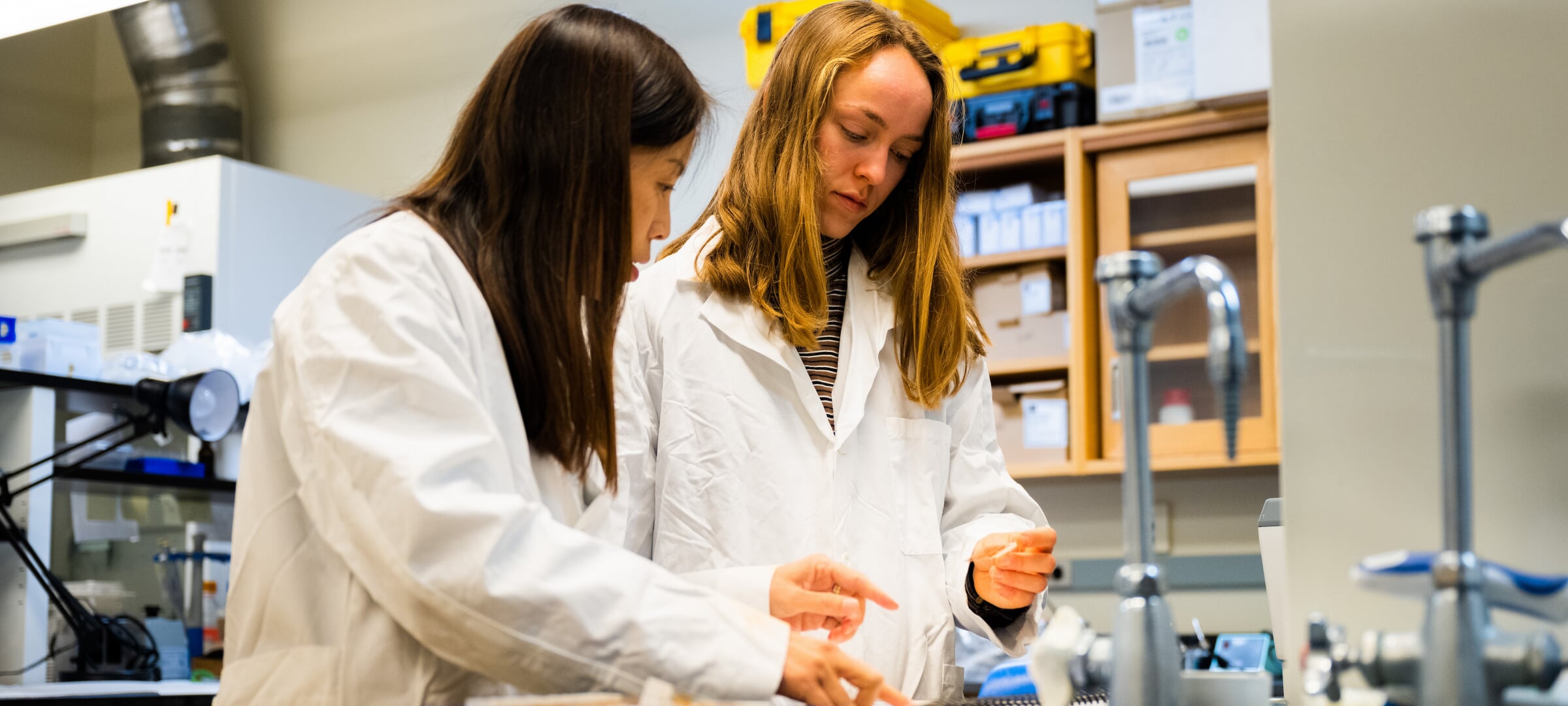 Two students in a lab working together