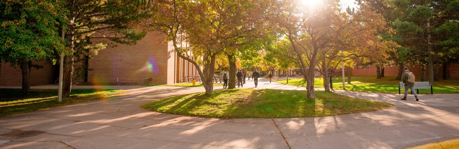Students walking across campus on a summer morning.