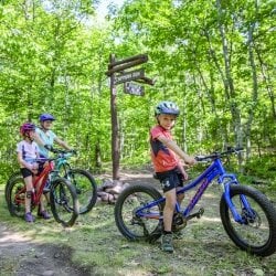 Family bike riding on trails