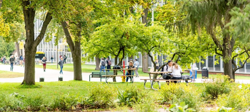 Students studying at table under trees