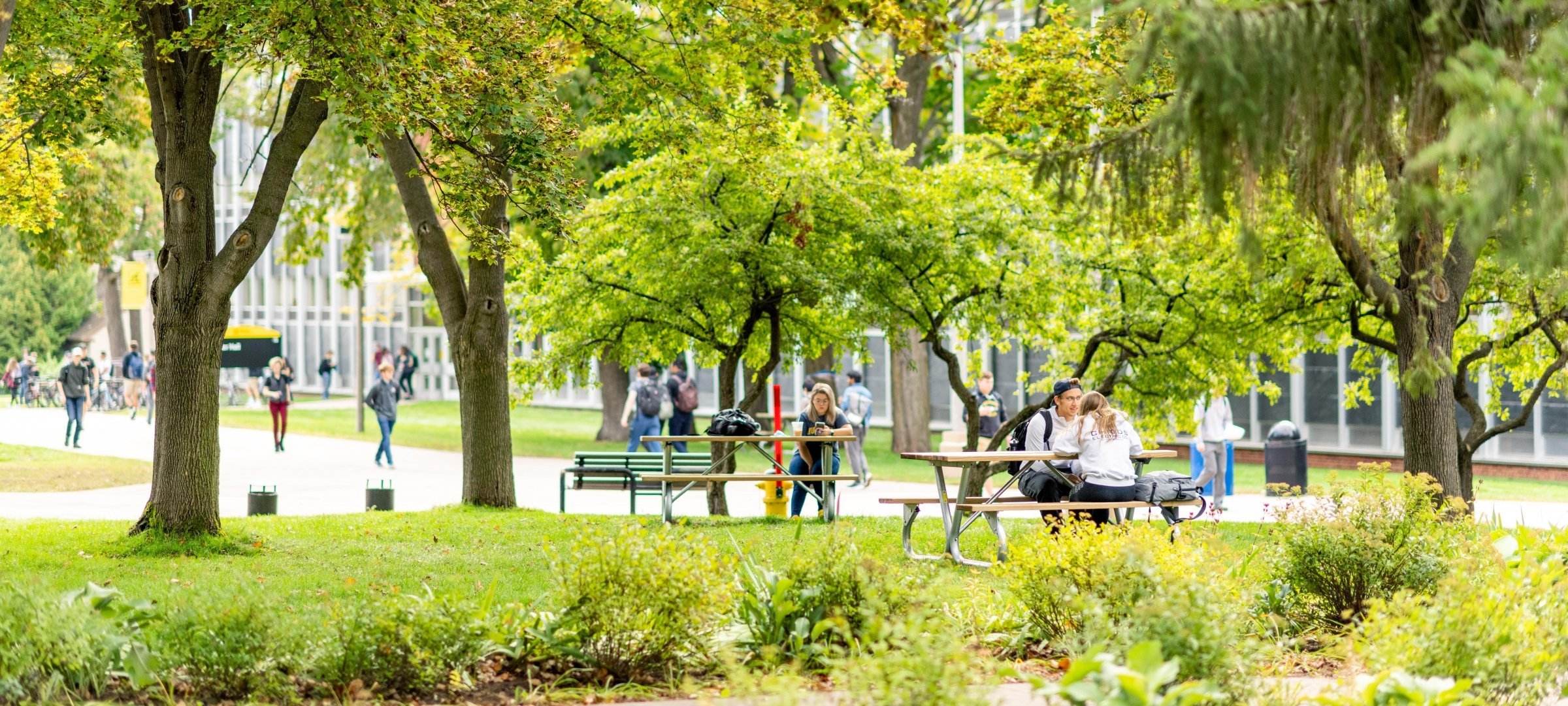 Students studying at a table under trees.