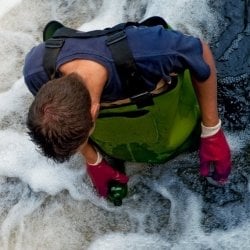 Person in the water collecting samples.