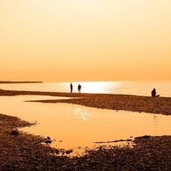 People on the shore by the water in a sunset.