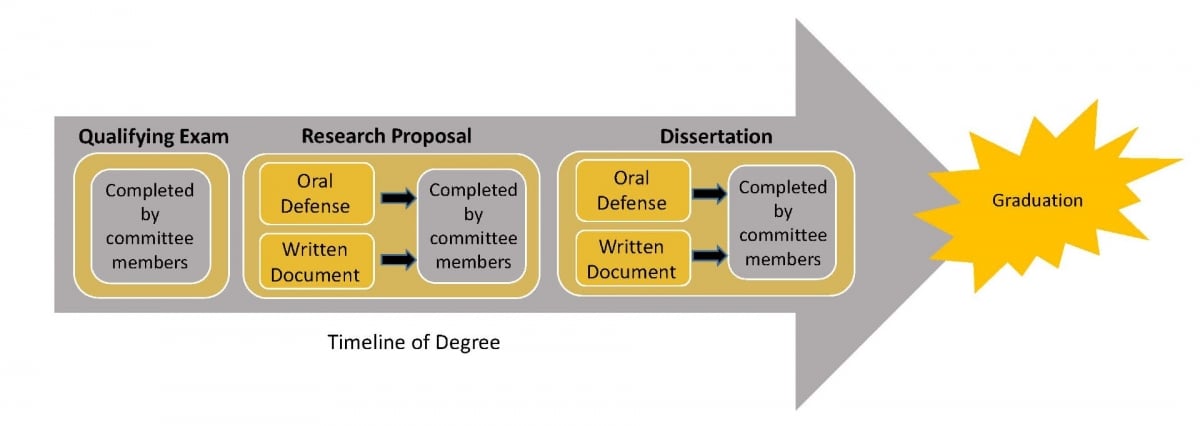 PhD Experience flow arrow.