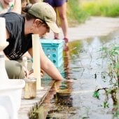 Wetland research.