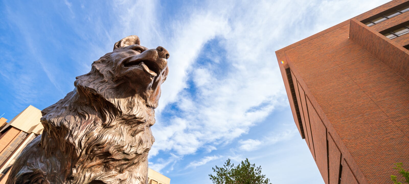 Bronze husky statue and the sky with clouds.