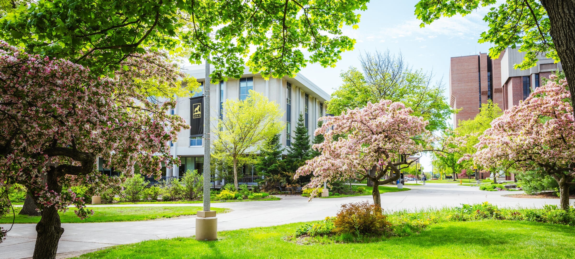 campus in spring time