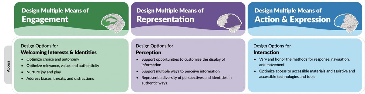 Universal Design for Learning Access guidelines Infographic showing the three principles of UDL with illustrations of which brain networks are aligned with each.