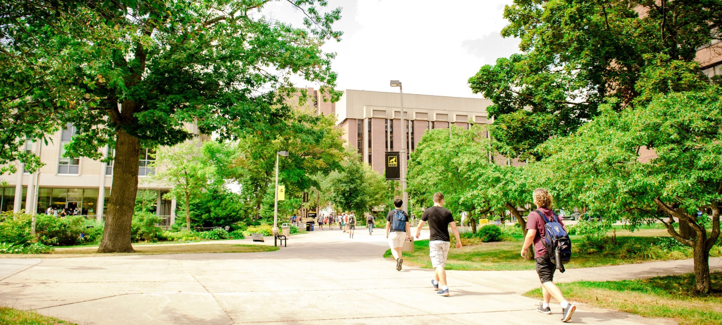 Campus mall in the summer showing students and the ChemSci Building.