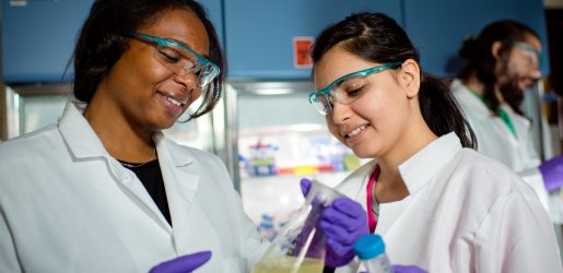 Two researchers observe an erlenmeyer flask, containing a yellow solution.