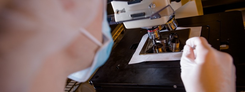 Student working with a microscope 