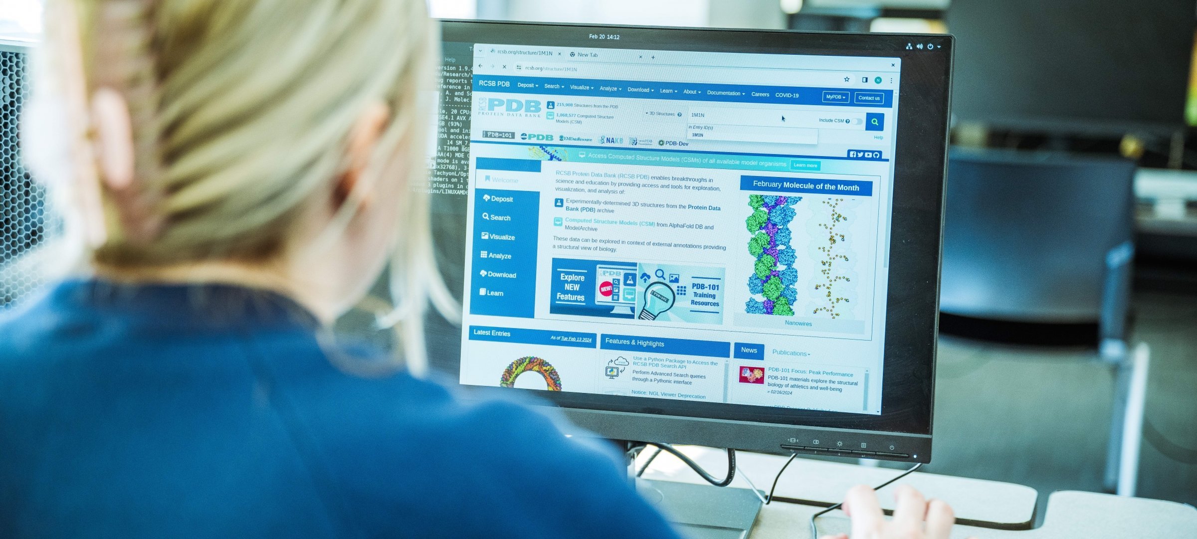 Female student looking at chemistry image on computer screen