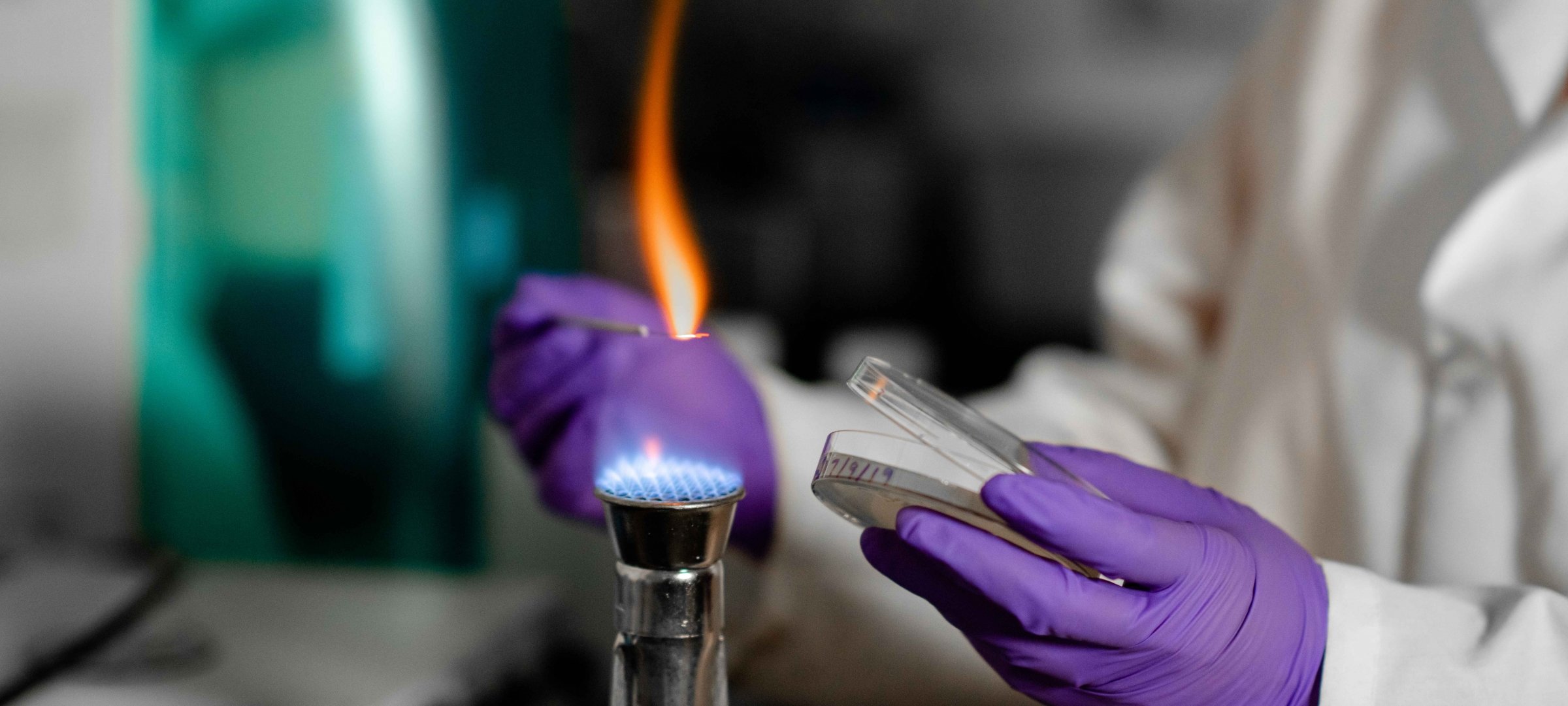 Image from tarun dam lab performing an experiment