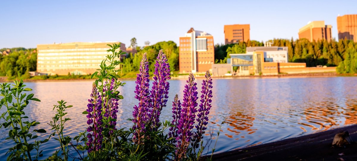 The Michigan Tech waterfront campus