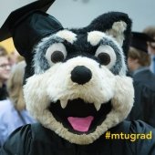 Michigan Tech Husky in graduation cap