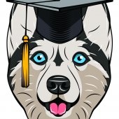 Husky Graduate Cap