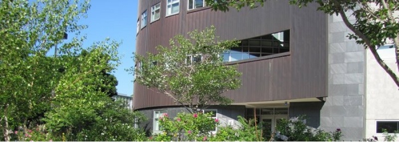 Rekhi Hall with a tree in front; during a sunny summer day.